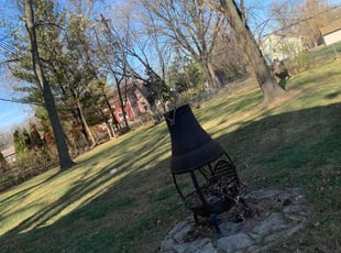 Leaf Removal by Kyle Yacko for Starr M. in St. Clair Shores, MI