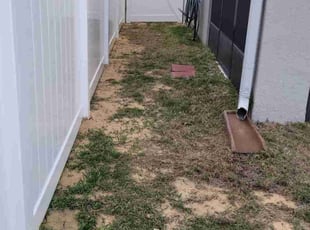 Cleanups by Carlos Martinez for Theresa K. in Davenport, FL