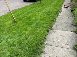 Bert C.'s Lawn Service service result