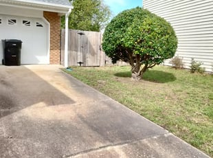 Bush Trimming by Kelvin Gooding for Dan S. in Virginia Beach, VA