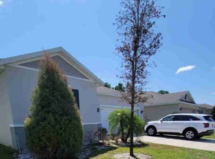 Bush Trimming by Carlos Martinez for Ivan S. in Davenport, FL