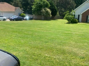 Vera C.'s Lawn Service service result