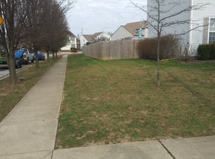 Leaf Removal by Bobby Watt for Dan V. in Galloway, OH