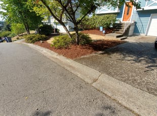 Leaf Removal by Coben Varland for Bethany W. in Bellevue, WA