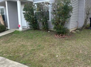 Bush Trimming by Paul Tollefson for Miranda T. in Tallahassee, FL