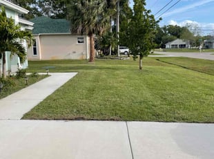 Courtney S.'s Lawn Service service result