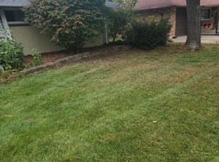 Leaf Removal by Aaron Spradlin for Megan J. in Dayton, OH