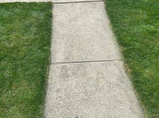 Landscaping by David Perez for Joshua S. in Chicago, IL