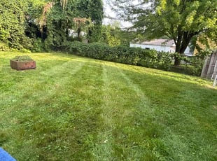 Cleanups by Kyle Yacko for Jamal M. in Royal Oak, MI