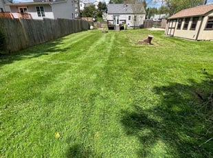 Angela E M.'s Lawn Service service result