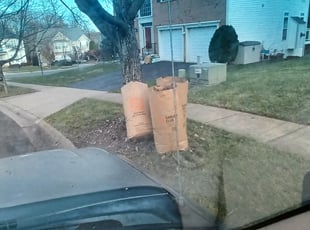 Leaf Removal by Amber Fuentes for Jisoo K. in Germantown, MD