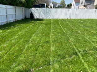 Alissa O.'s Lawn Care service result