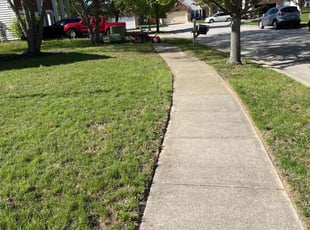 Cleanups by James Lewis for Amanda F. in Indianapolis, IN