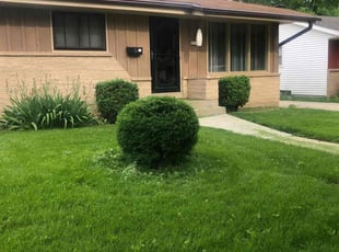 Bush Trimming by John McCardle for Dorothy R. in Milwaukee, WI