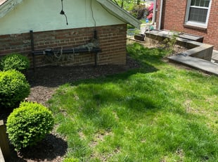 Weeding by David Trejo for Tarik Y. in Silver Spring, MD