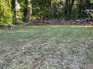 Leaf Removal by Dustin Hopperton for Chanel J. in Virginia Beach, VA