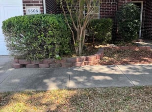Bush Trimming by Maria Hernandez for Karen C. in Frisco, TX