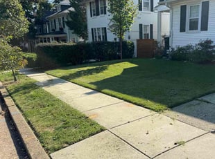 Randy A.'s Lawn Service service result