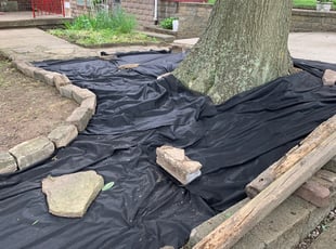 Cleanups by Anthony Pampuch for Joel B. in Pittsburgh, PA