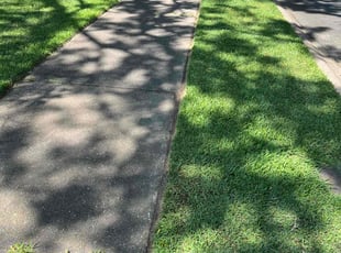 Ladonna C.'s Lawn Mowing service result