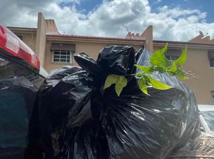 Leaf Removal by Lizzy Chava for Jessie R. in Miami, FL