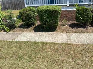 Bush Trimming by Billy Bryant for Debra L. in Clayton, NC