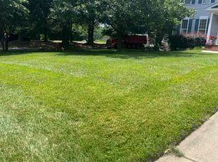 Cheri M.'s Lawn Maintenance service result
