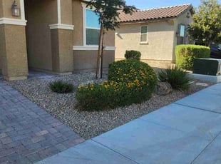 Weeding by Lamont Johnson for Jenna S. in North Las Vegas, NV