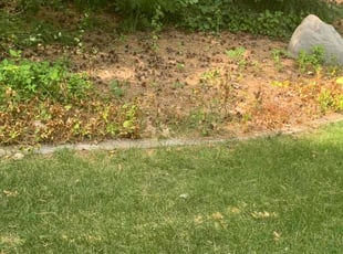 Cleanups by Akyme Stevens for Shareen L. in Minneapolis, MN