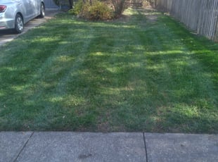 Cleanups by Julio Almestica for Julie P. in Lee's Summit, MO