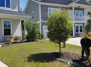 Bush Trimming by Derrick gadsden for Louie D. in Summerville, SC