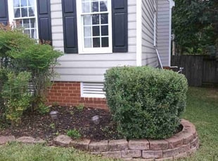 Bush Trimming by Artisha Smith for Yonrawee P. in Richmond, VA