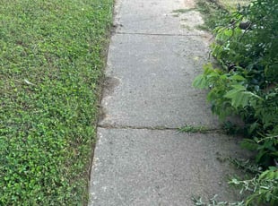 Weeding by Trapper Ellis for Shoshanah W. in Memphis, TN