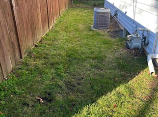 Leaf Removal by Francisco Aviles for Ali D. in Grand Rapids, MI