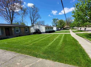 Nathan P.'s Yard Cutting service result