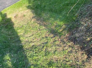 Leaf Removal by Levii Holland for Hannah W. in Commerce Charter Township, MI