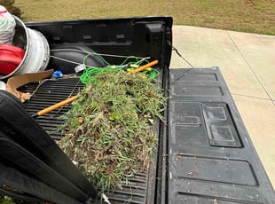 Weeding by Phillip Danner for Gloria T. in Township of Taylorsville, NC