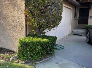 Bush Trimming by Fernando Gomez Rodriguez for reuben l. in Artesia, CA