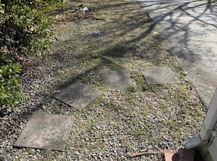 Leaf Removal by Luiz Gosling De Oliveira for Naveen G. in Laurel, MD