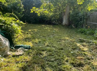 Cleanups by Andrew Snell for Micheal H. in Detroit, MI