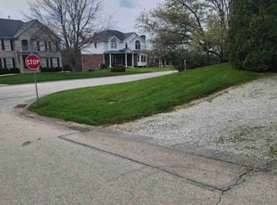 Dave A.'s Lawn Service service result