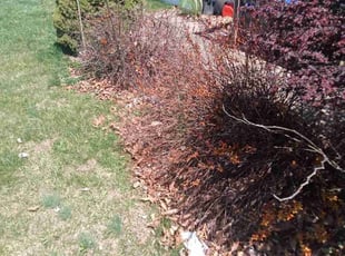 Leaf Removal by Gregeory McDannell for Ryan f. in Carlisle, PA