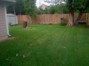 Stan M.'s Lawn Care service result