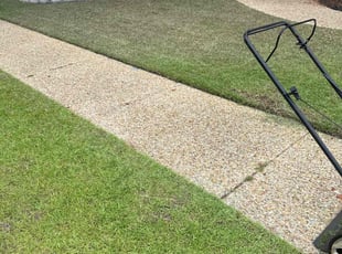 Portia D.'s Lawn Mowing service result
