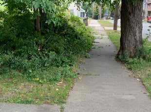 Bush Trimming by Ryan Cooper for Sarah H. in Grand Rapids, MI