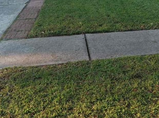 Carolina M.'s Lawn Care service result