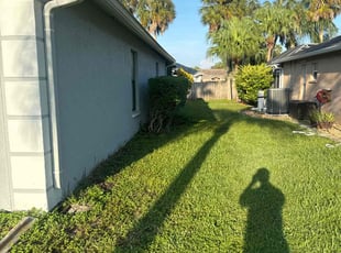 Bush Trimming by Thomas Farley for Joseph F. in Sarasota, FL