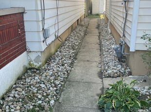 Weeding by Ted Ostavitz for Kristin . in Covington, KY