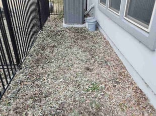 Cleanups by Rene Gabriel Ramirez for Susan H. in Austin, TX