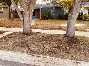 Cleanups by Ray Shelton for Raphael C. in St. Petersburg, FL